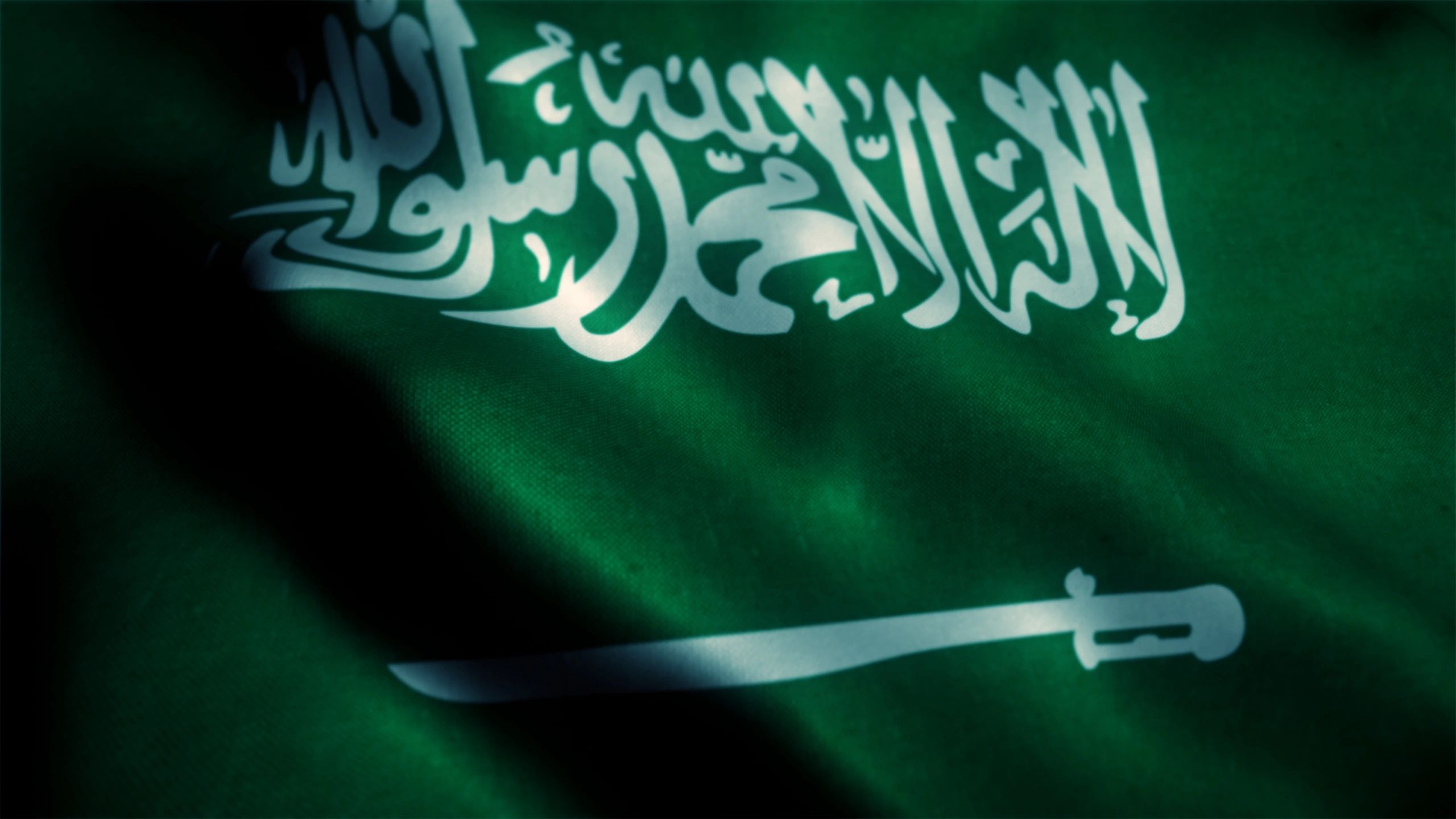 Saudi Arabia flag representing nationwide accounting support